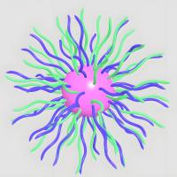 泊洛沙姆(PL)-磷脂酰胆碱(PLC)-胆固醇(CH)聚合物胶束包封人参皂苷Rg3