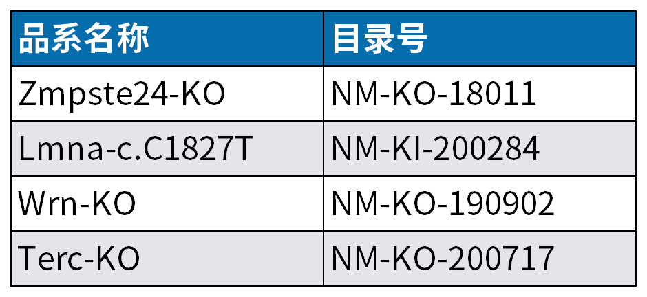 人类衰老之谜，就藏在这些小鼠里