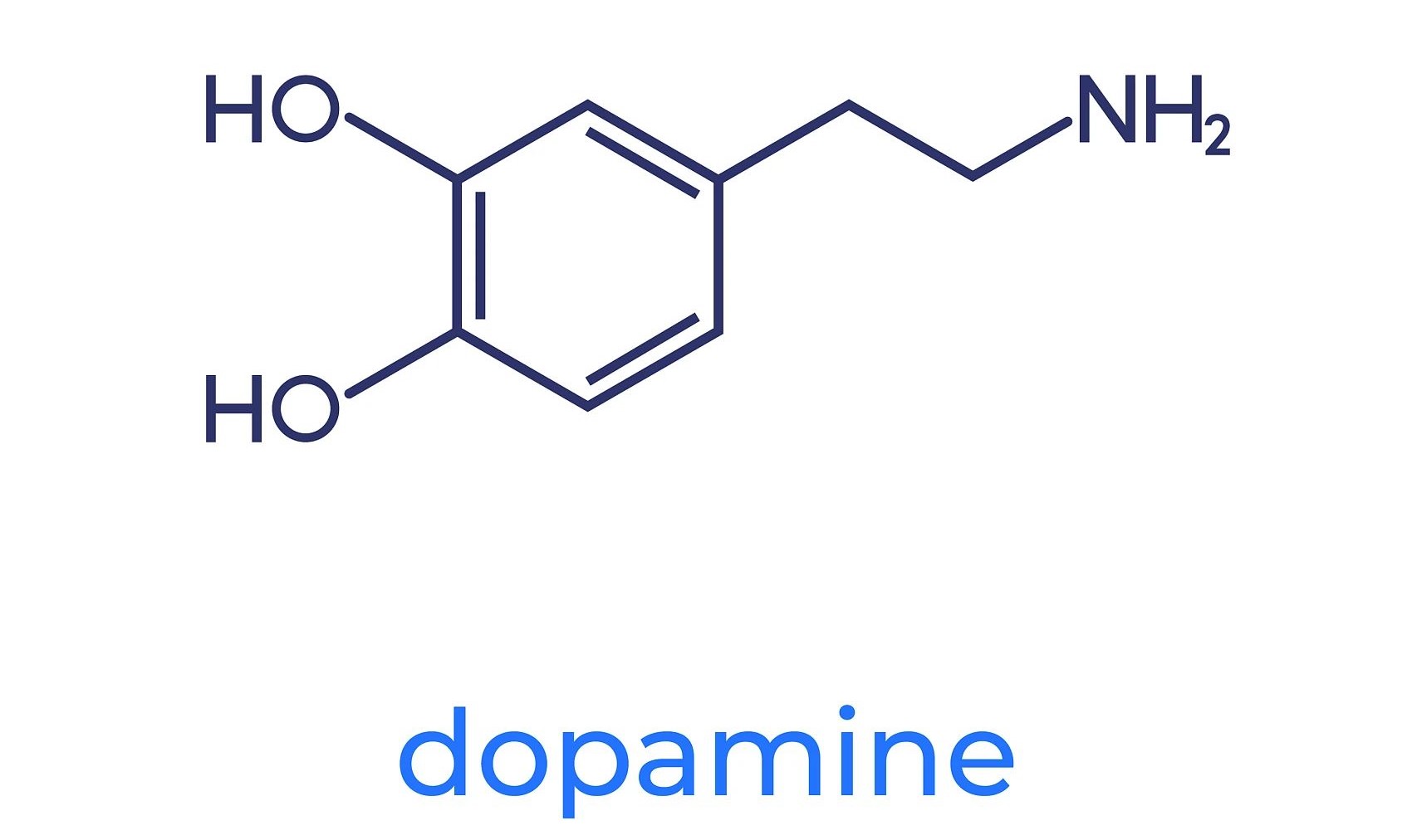 多巴胺受体D1R：神经精神疾病治疗的关键靶点