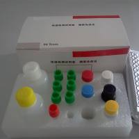 禽流感病毒H7N9亚型双重荧光RT-PCR检测试剂盒