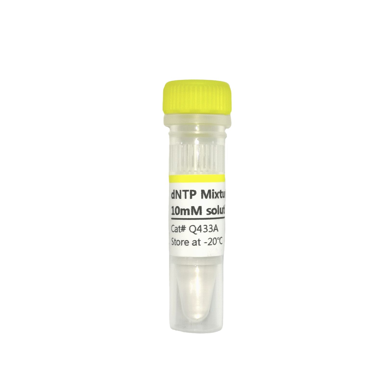 dNTP Mixture each 10mM solution 