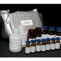 猪急性腹泻综合征冠状病毒荧光RT-PCR检测试剂盒