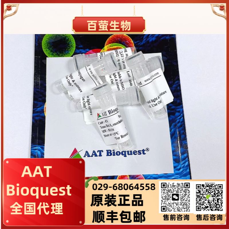 AF555小麦胚芽凝集素(WGA)探针