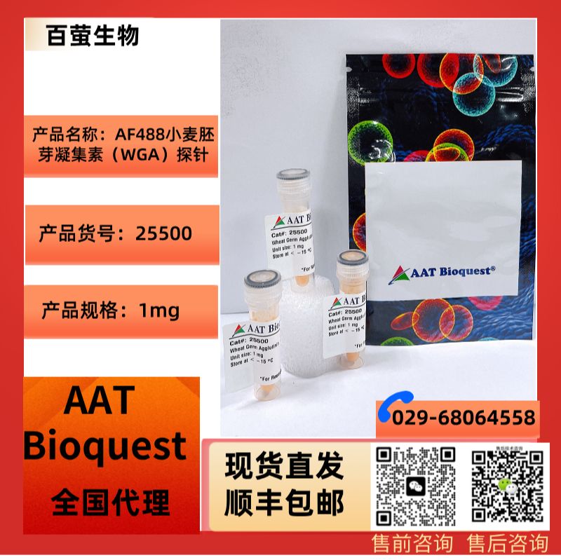 AF488小麦胚芽凝集素
