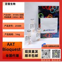 AF488小麦胚芽凝集素