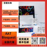 iFluor 647小麦胚芽凝集素(WGA)缀合物