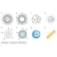 负载转化生长因子β1（TGF-β1）的PLGA纳米粒被MOG-抗Fas-PD-L1-Fc-CD47-Fc修饰