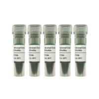 2× Universal Green Taq PCR ProMix