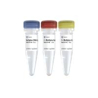 热启动多重PCR检测试剂盒 Multiplex PCR Kit（PM101）