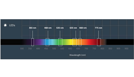 Amersham ImageQuant™ 800 蛋白印迹成