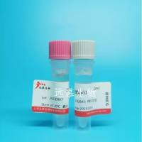 PRRSV  猪蓝耳病病毒抗体