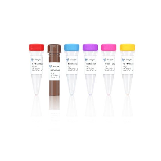 TUNEL FITC Apoptosis Detection Kit(绿色荧光检测凋亡)(A111)