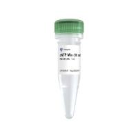 dNTP Mix（10 mM each）用于高灵敏度和高重复性的PCR和RT-PCR（P031）