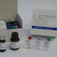 猪流行性腹泻病毒荧光RT-PCR检测试剂盒