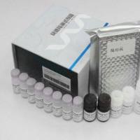 猪塞内卡/口蹄疫病毒双重荧光RT-PCR检测试剂盒