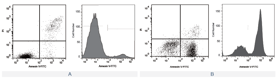 Annexin V-FITC/PI Apoptosis De