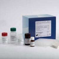 小反刍兽疫病毒荧光RT-PCR检测试剂盒