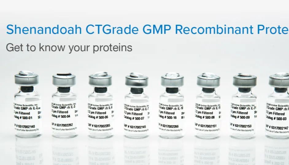 揭秘CTGrade GMP重组蛋白：常见问题解答，加速您的研究与创新！