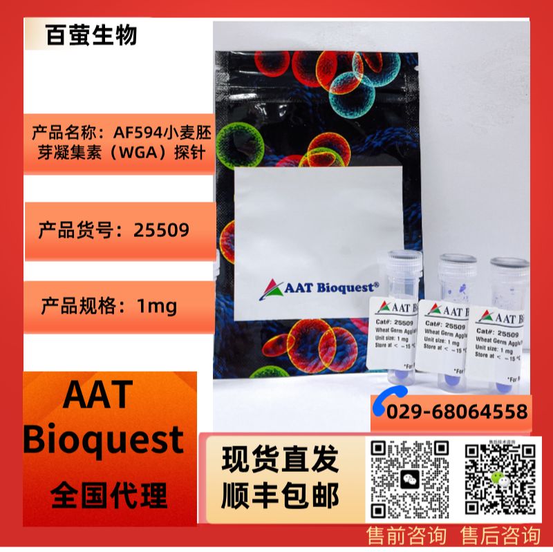 AF594小麦胚芽凝集素