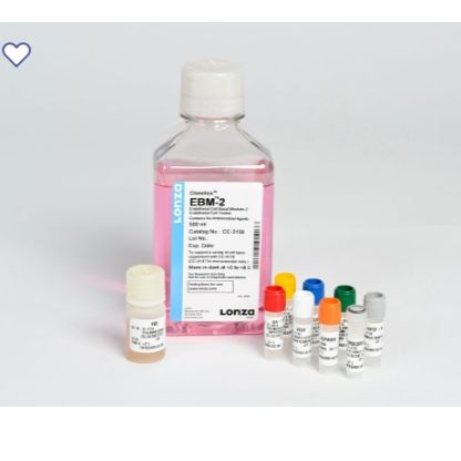 Lonza热销原代细胞培养套装