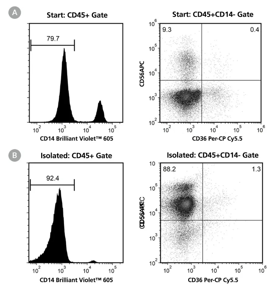 EasySep™人Pan-NK细胞分选试剂盒