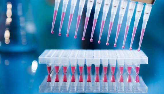 PCR反应电泳详细分析