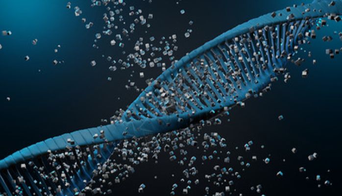 如何防止RNA在提取过程中的丢失