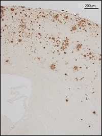 2017030516492240.jpg 图2.jpg