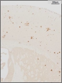 2017030536177513.jpg 图5.jpg