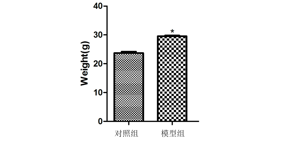 肥胖症模型（高脂饲料诱导）
