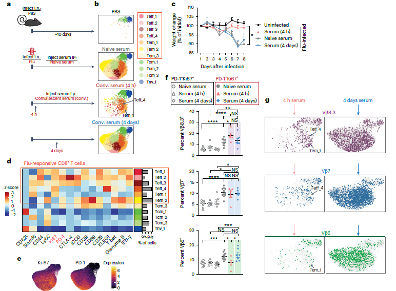 质谱流式技术应用新篇章：监测 T 细胞受体重排和细胞分化状态的变化