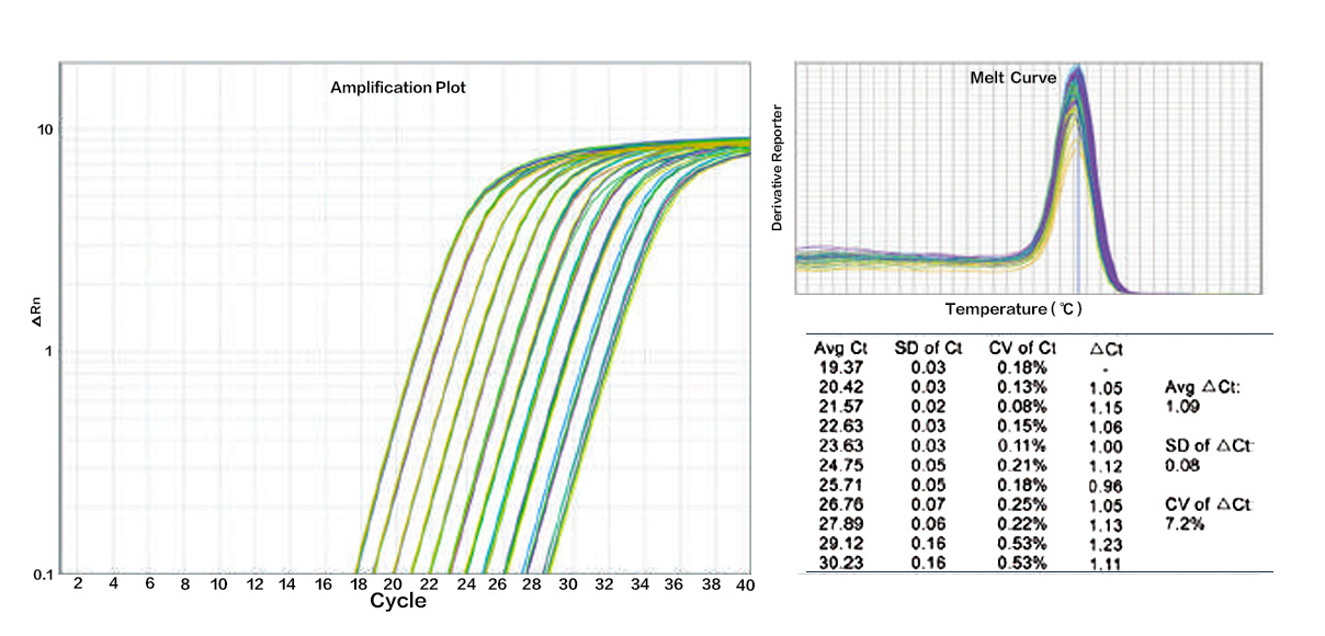 高灵敏性染料法定量PCR 检测试剂盒 ChamQ SYBR 