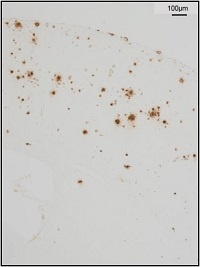 2017030534397759.jpg 图4.jpg