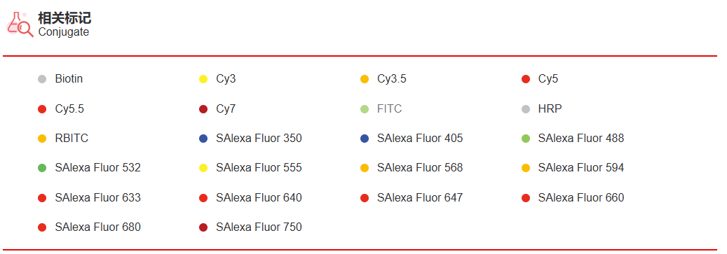K010769M Anti-CD11b(FITC) Mono