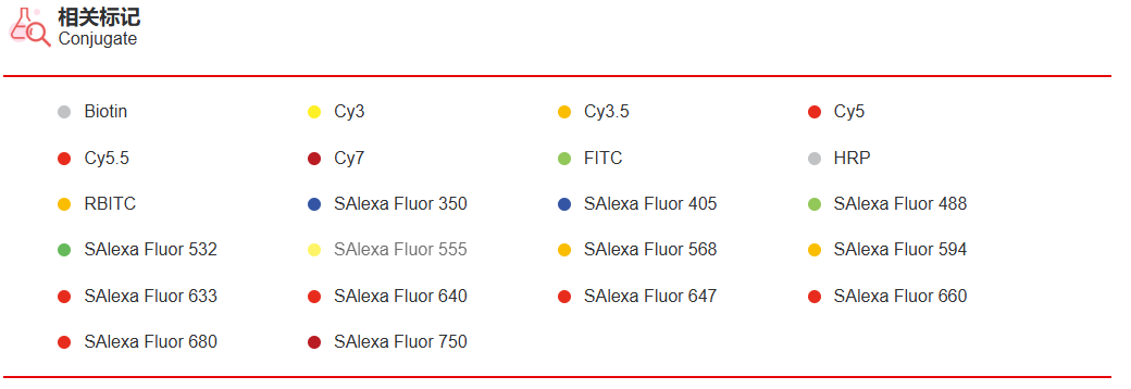 K010768M Anti-CD11b(FITC) Mono