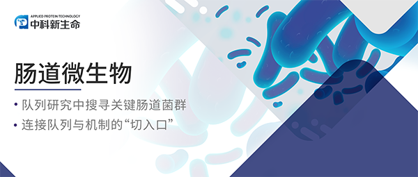 Cell | 首次发现！上海交通大学赵立平等团队合作破解人体核心肠道菌群的“跷跷板”竞争密码