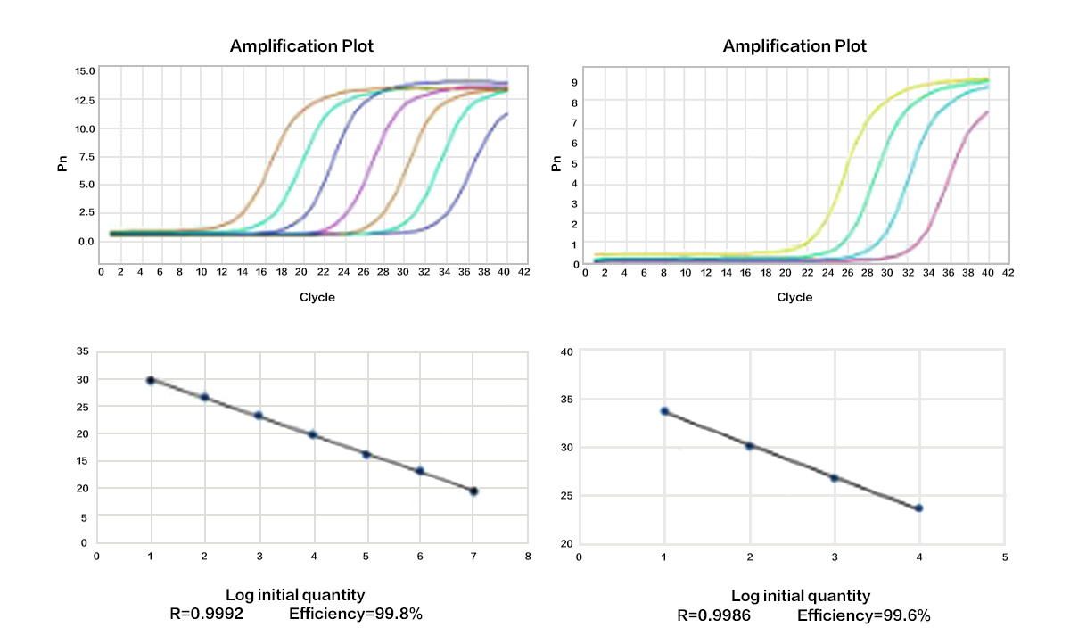 HiScript II 1st Strand cDNA Sy