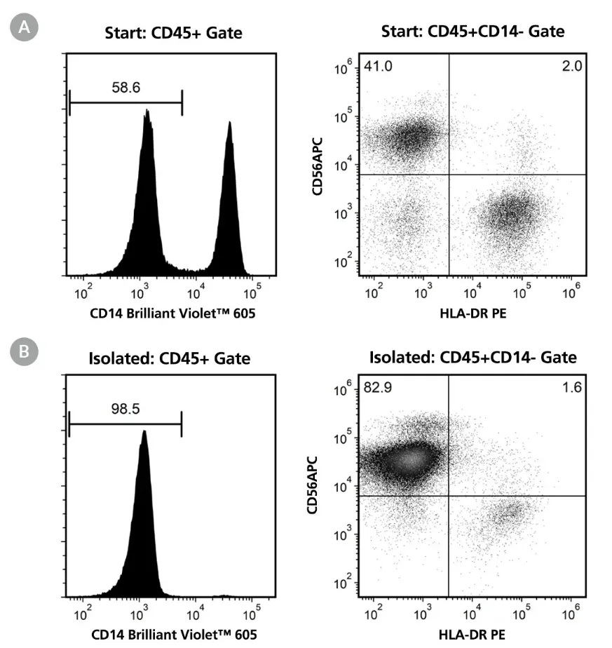 EasySep™人Pan-NK细胞分选试剂盒