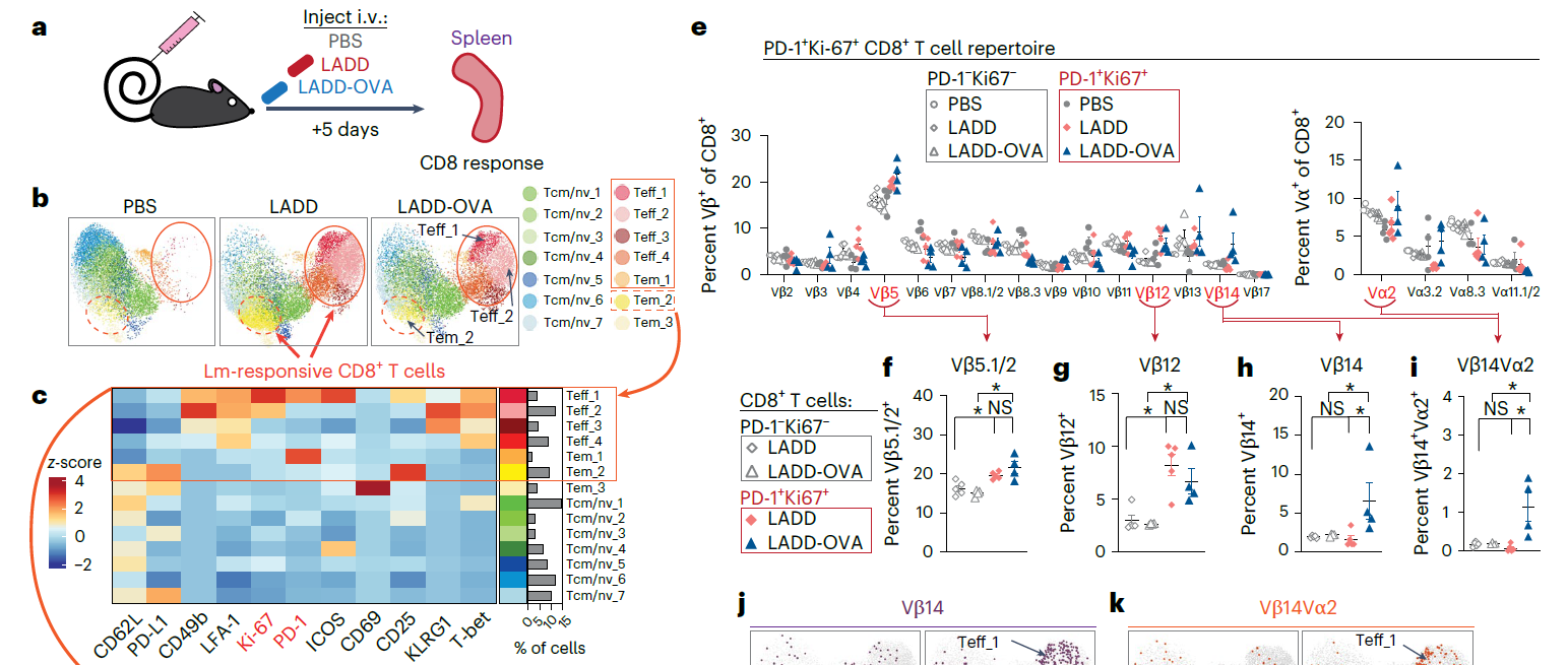 质谱流式技术应用新篇章:监测 T 细胞受体重排和细胞分化状态的变化