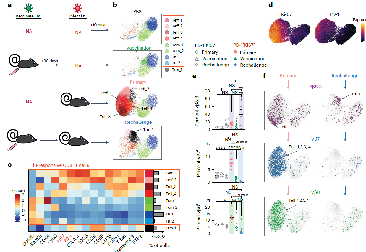 质谱流式技术应用新篇章：监测 T 细胞受体重排和细胞分化状态的变化