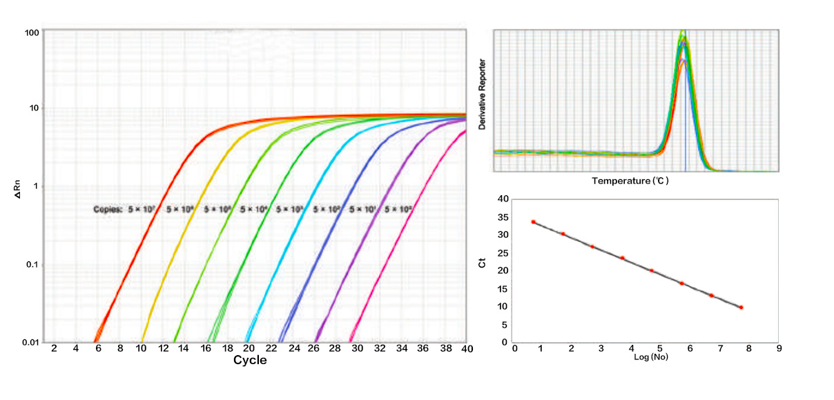 高灵敏性染料法定量PCR 检测试剂盒 ChamQ SYBR 