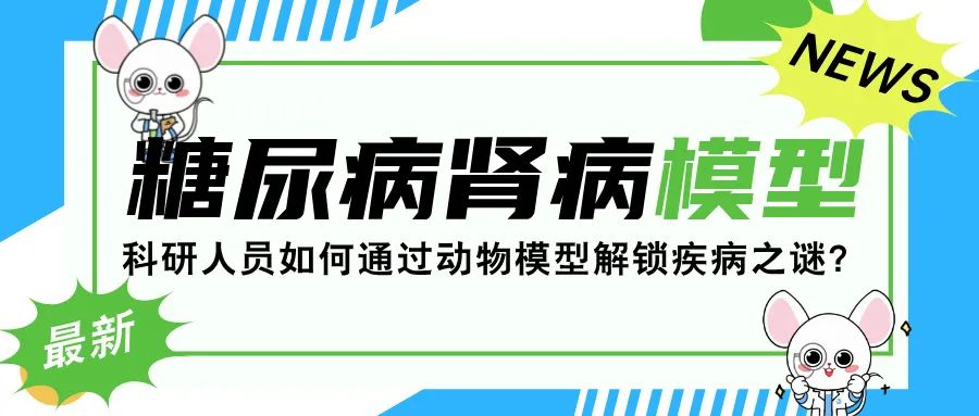 “糖尿病肾病模型：科研人员如何通过动物模型解锁疾病之谜？”