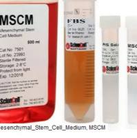 间充质干细胞培养基，Mesenchymal Stem Cell Medium