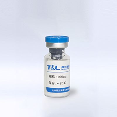 重组人Laminin-511 E8蛋白