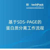 基于SDS-PAGE的蛋白质分离工作流程