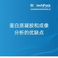 蛋白质凝胶和成像分析的优缺点