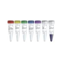 高保真度和扩增能力的高保真DNA 聚合酶 Phanta Super-Fidelity DNA Polymerase(P501)