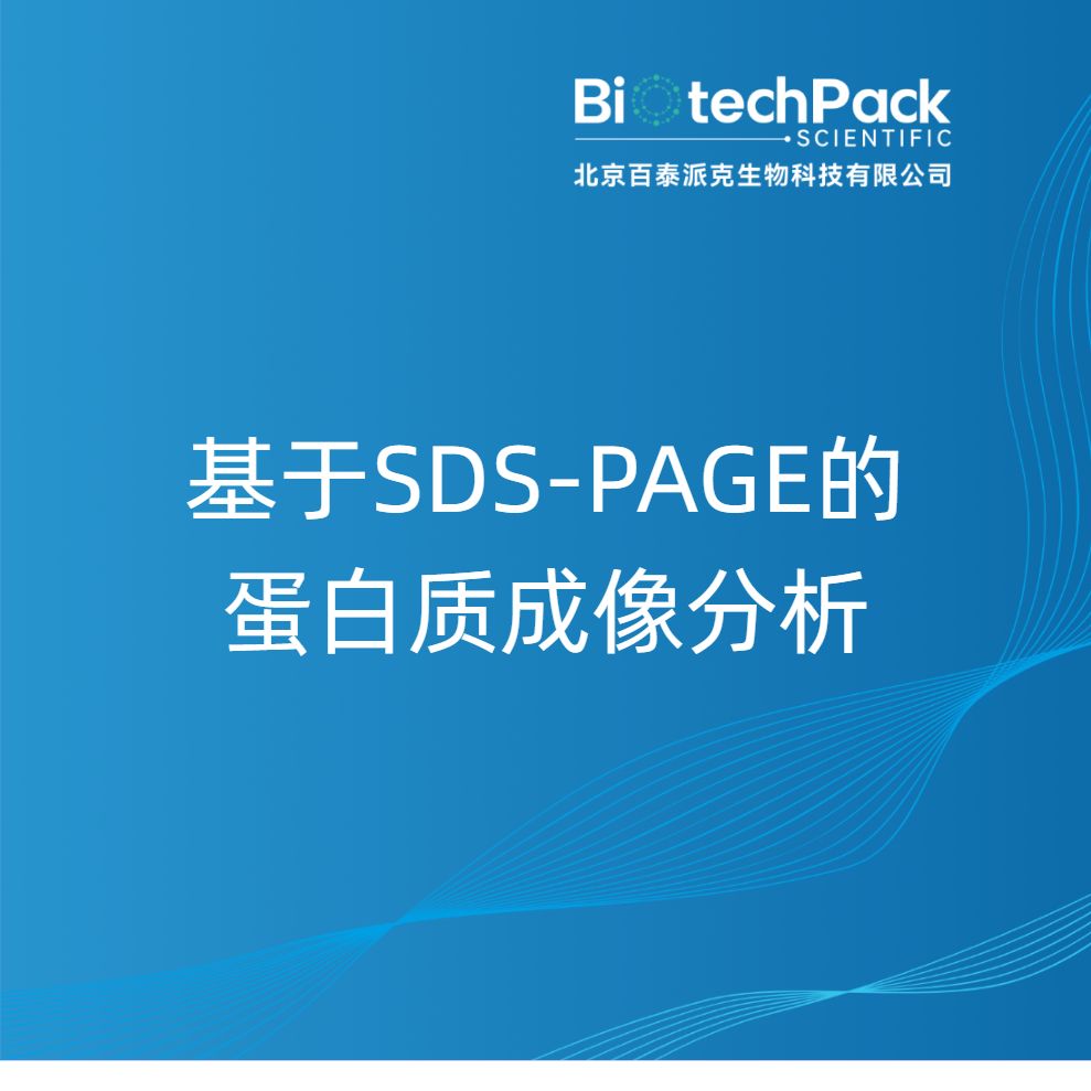 基于SDS-PAGE的蛋白质成像分析产品图