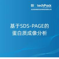 基于SDS-PAGE的蛋白质成像分析