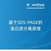 基于SDS-PAGE的蛋白质分离原理